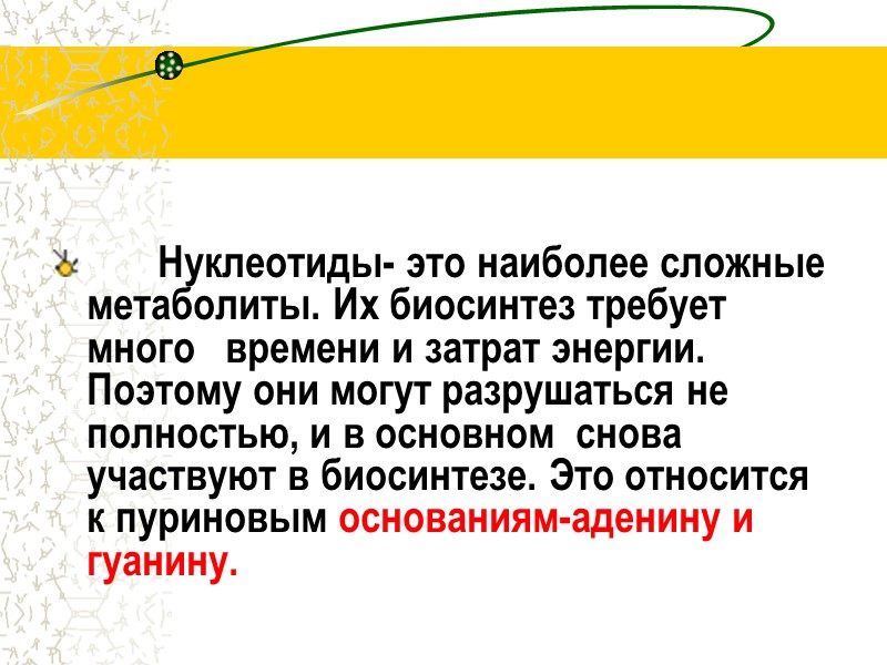Нуклеотиды- это наиболее сложные метаболиты. Их биосинтез требует много   времени и затрат